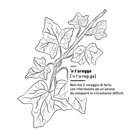 T-Shirt N' T'aregge