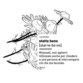 T-Shirt Statte bono 2