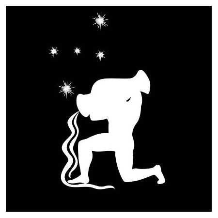 Mascherina segno zodiacale Acquario