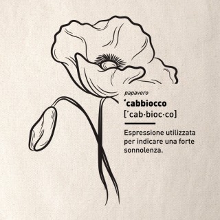 C'ABBIOCCO - Shoppers 2