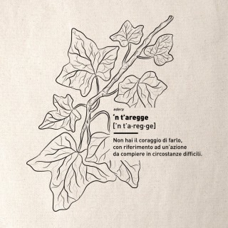 N' T'AREGGE - Shoppers 2