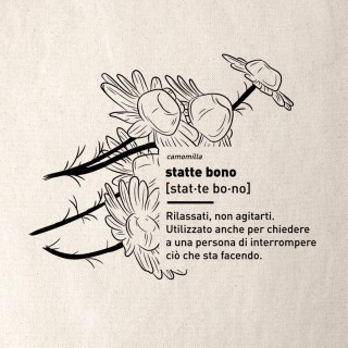 STATTE BONO - Shoppers 2